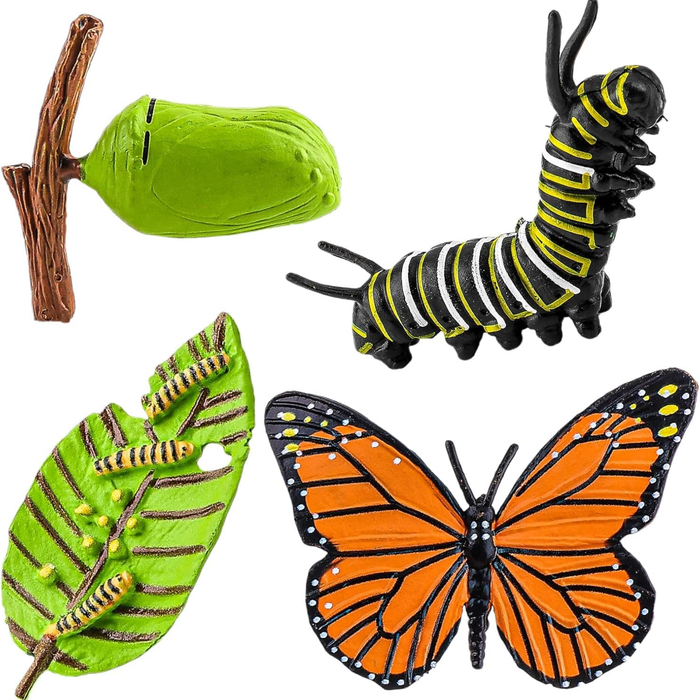 Life Cycle of a Butterfly Educational Toy Set – Realistic Butterfly Growth Stages Model for Kids (4+ Years)