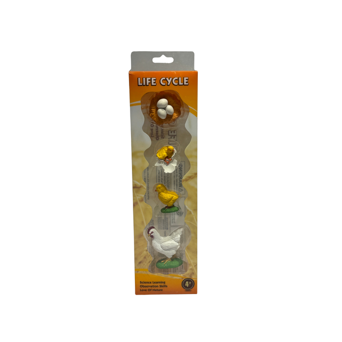 Life Cycle of a Chicken Educational Toy Set – Realistic Chicken Growth Stages Model for Kids (4+ Years)