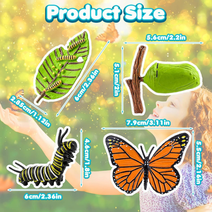Life Cycle of a Butterfly Educational Toy Set – Realistic Butterfly Growth Stages Model for Kids (4+ Years)