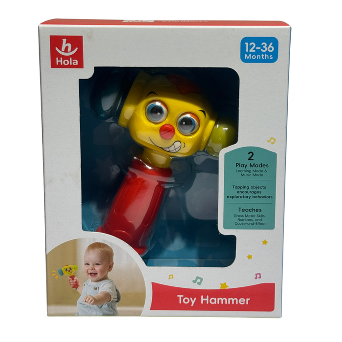 Hola Baby Toys for 1-3 Year Olds - Rattle, Musical Hammer, Light Up Sound Activity Sensory Toys for Boys & Girls
